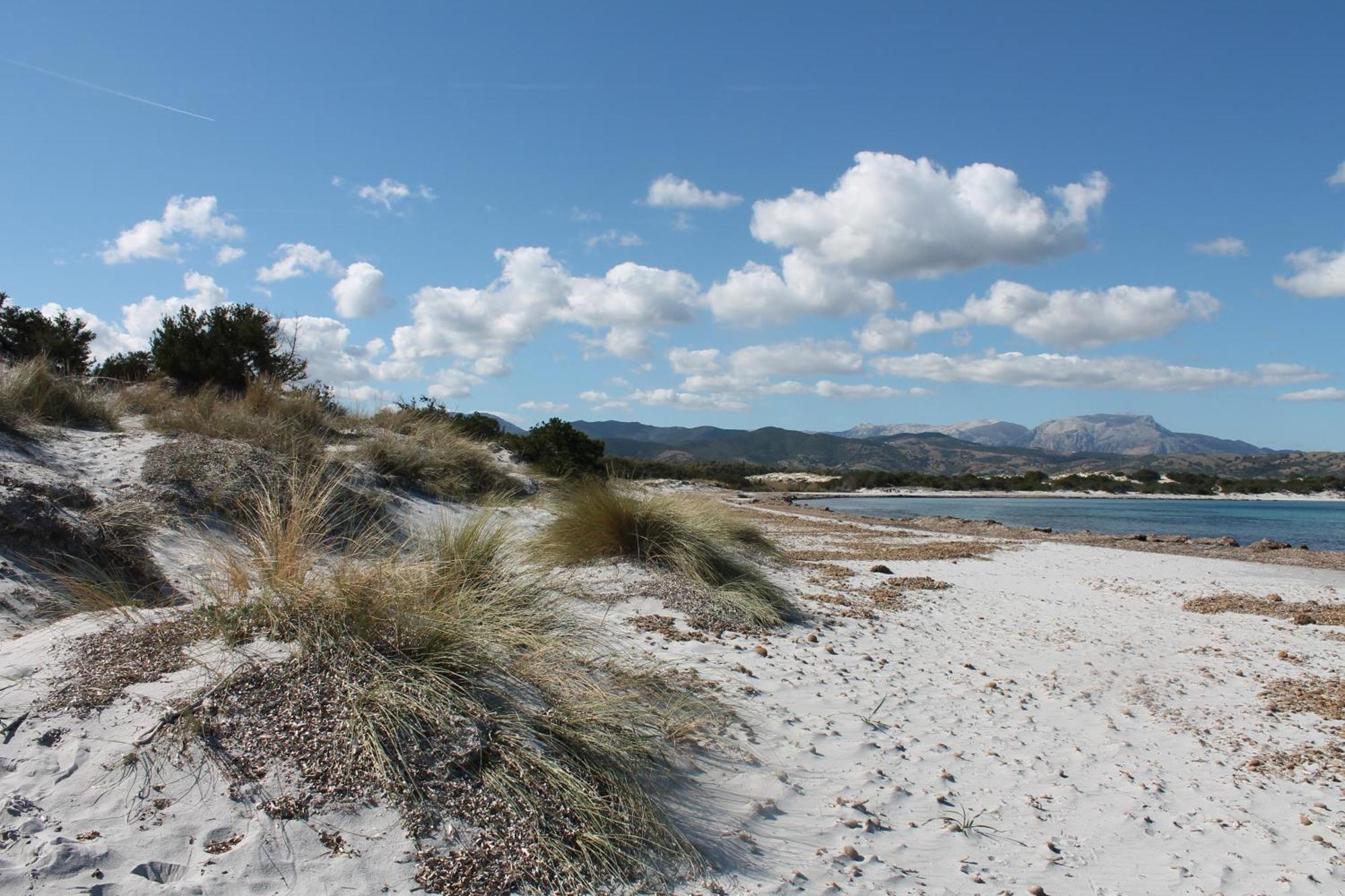 Villetta 1.2 Km Dalla Spiaggia Budoniaffitti Танаунела Екстериор снимка
