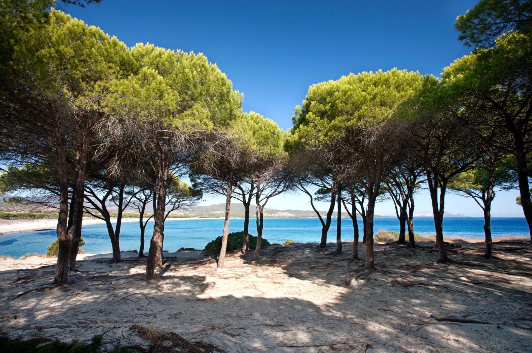 Villetta 1.2 Km Dalla Spiaggia Budoniaffitti Танаунела Екстериор снимка